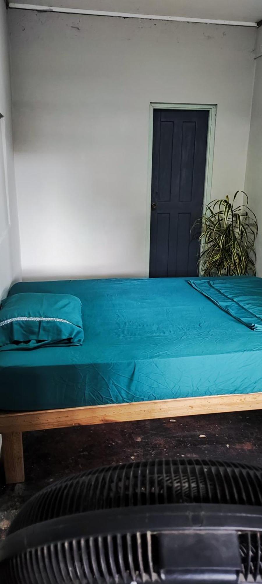 Bambu Lounge Bocas Hostel Bocas del Toro Extérieur photo